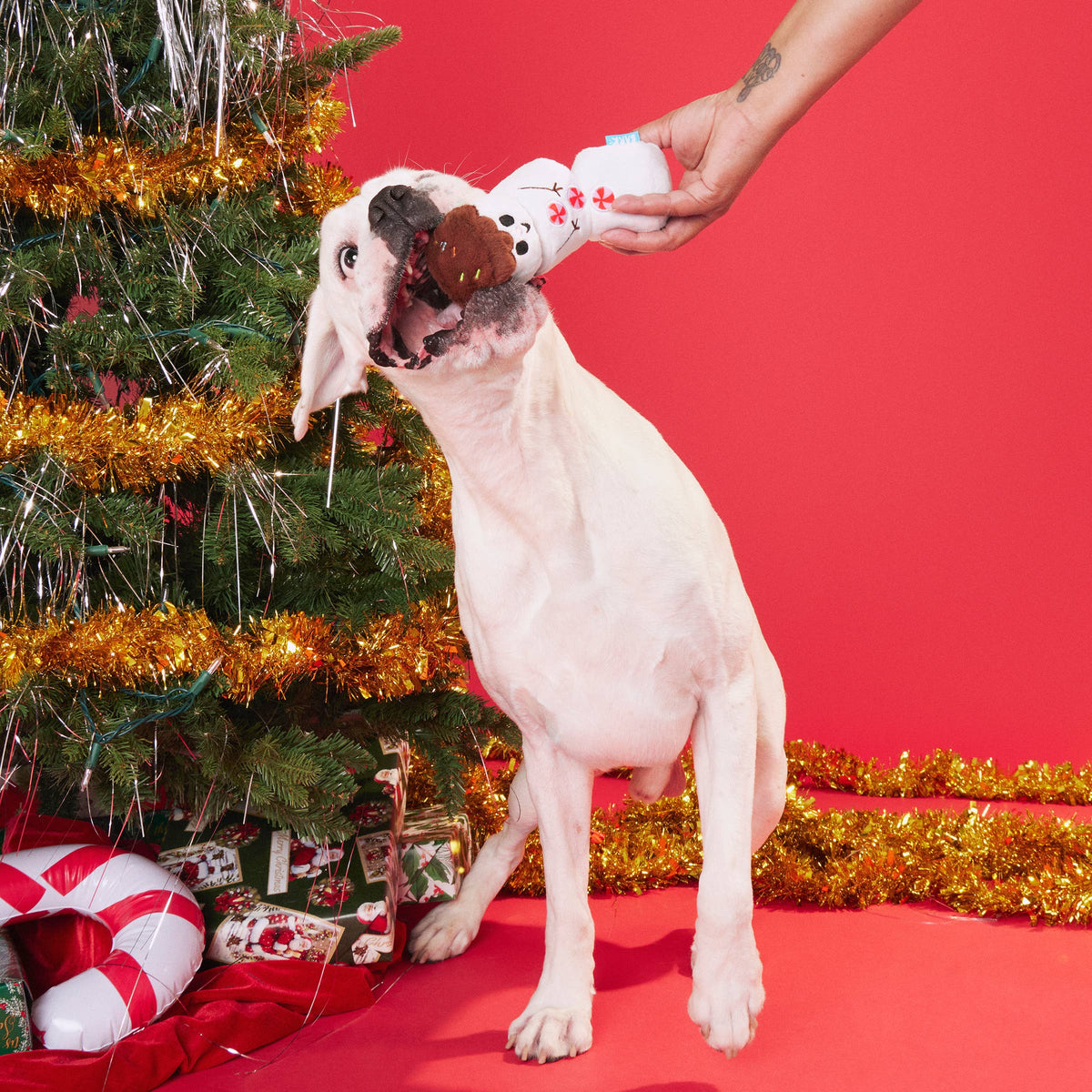 BARK Frosty the S'moreman Christmas Dog Toy