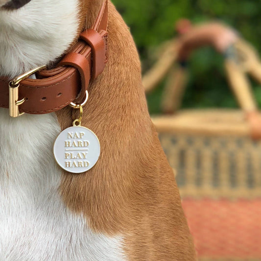 Nap Hard Play Hard Pet ID Tag