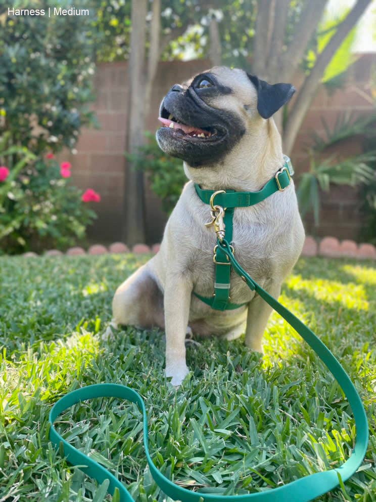 Meadow Green Cloud Lite Dog Harness