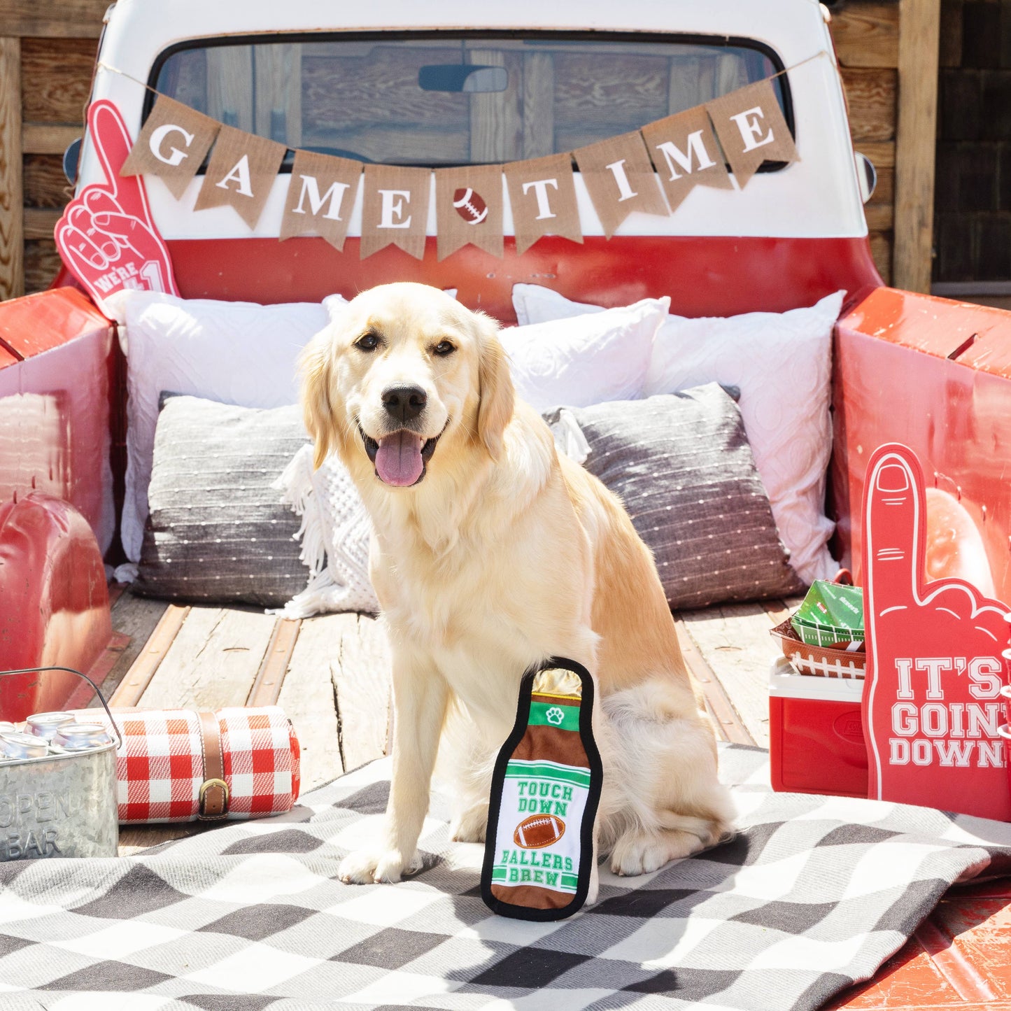 TAILGATES AND TOUCHDOWNS DURABLE PLUSH DOG TOY