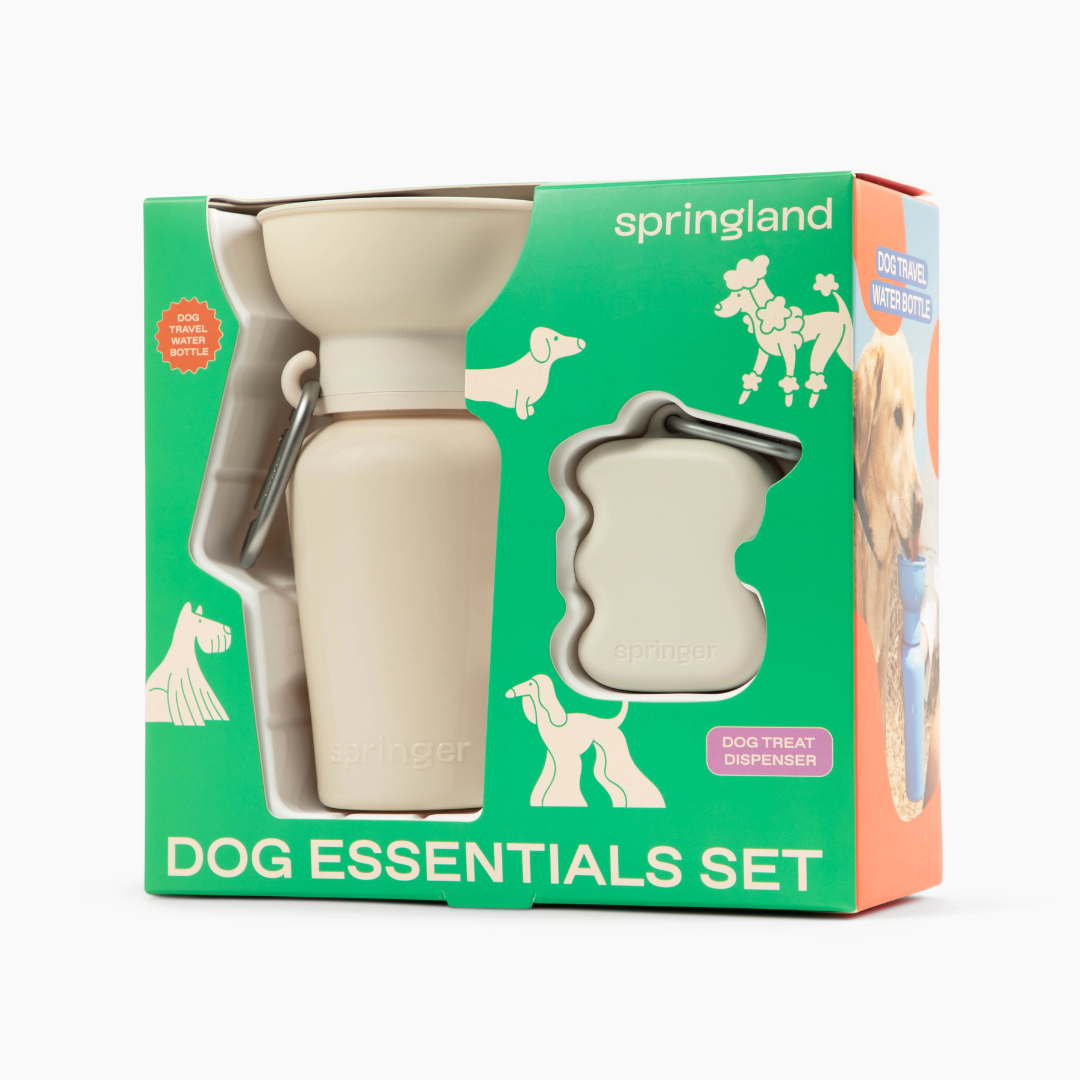 Dog Essentials Gift Box Set, Gift For Dogs (12 Pack)