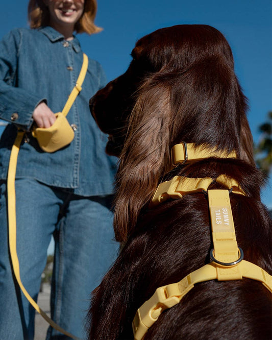 Dandelion Yellow Cloud Lite Dog Harness