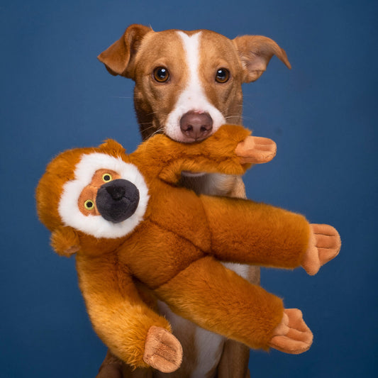 Fluff & Tuff: Marcel Monkey