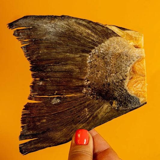 Salmon Tails - Freeze-Dried Treat/Chew for Dogs
