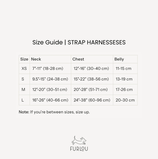 Rainbow Strap Dog Harness