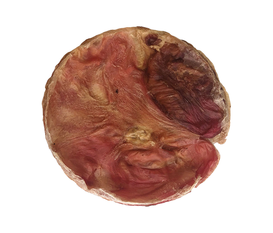 Furs-bee® Beef Bladder