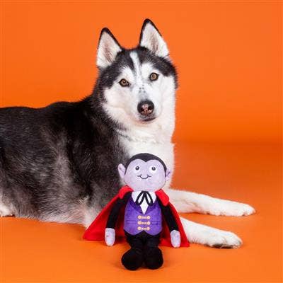 PetShop by Fringe Studio You're My Blood Type Plush Dog Toy