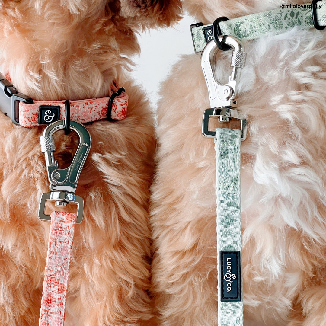 Woodland Wildflowers Collar