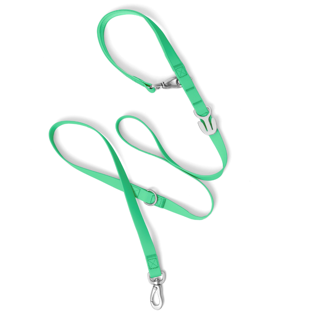 Premium Waterproof 5ft Dog Leash Padded (Mixed 5 Pack)