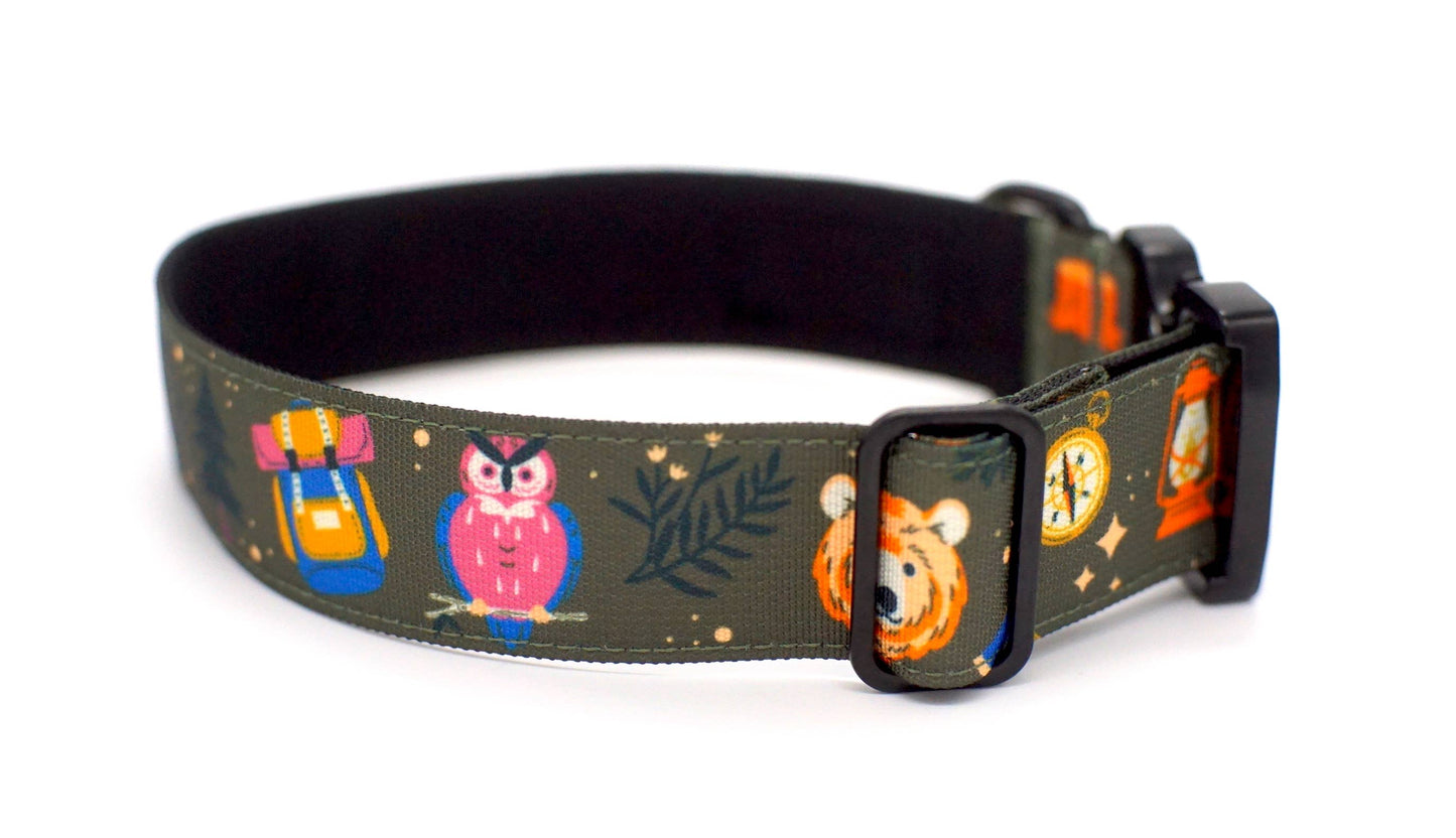 Enchanted Forest Dog Collar