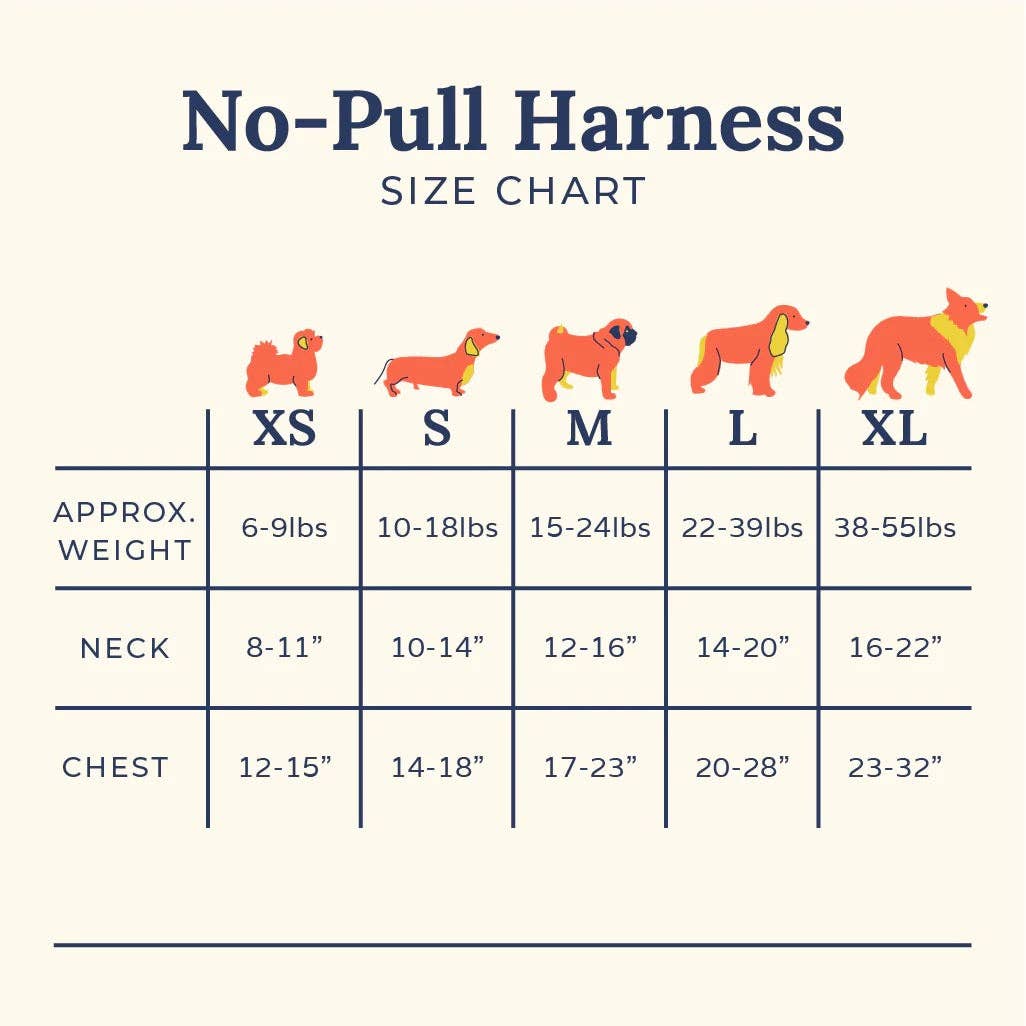 Giddy Up No-Pull Harness