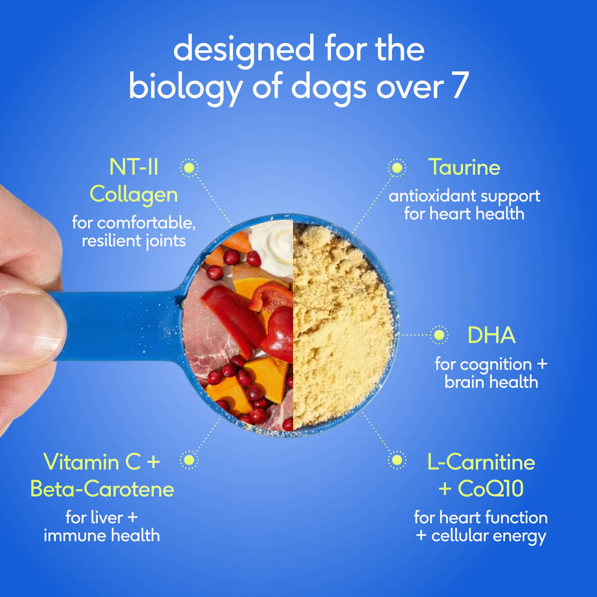 Senior Daily 12-in-1 Multivitamin Powder Supplement for Dogs