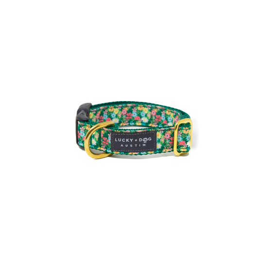 Petal Pop Dog Collar