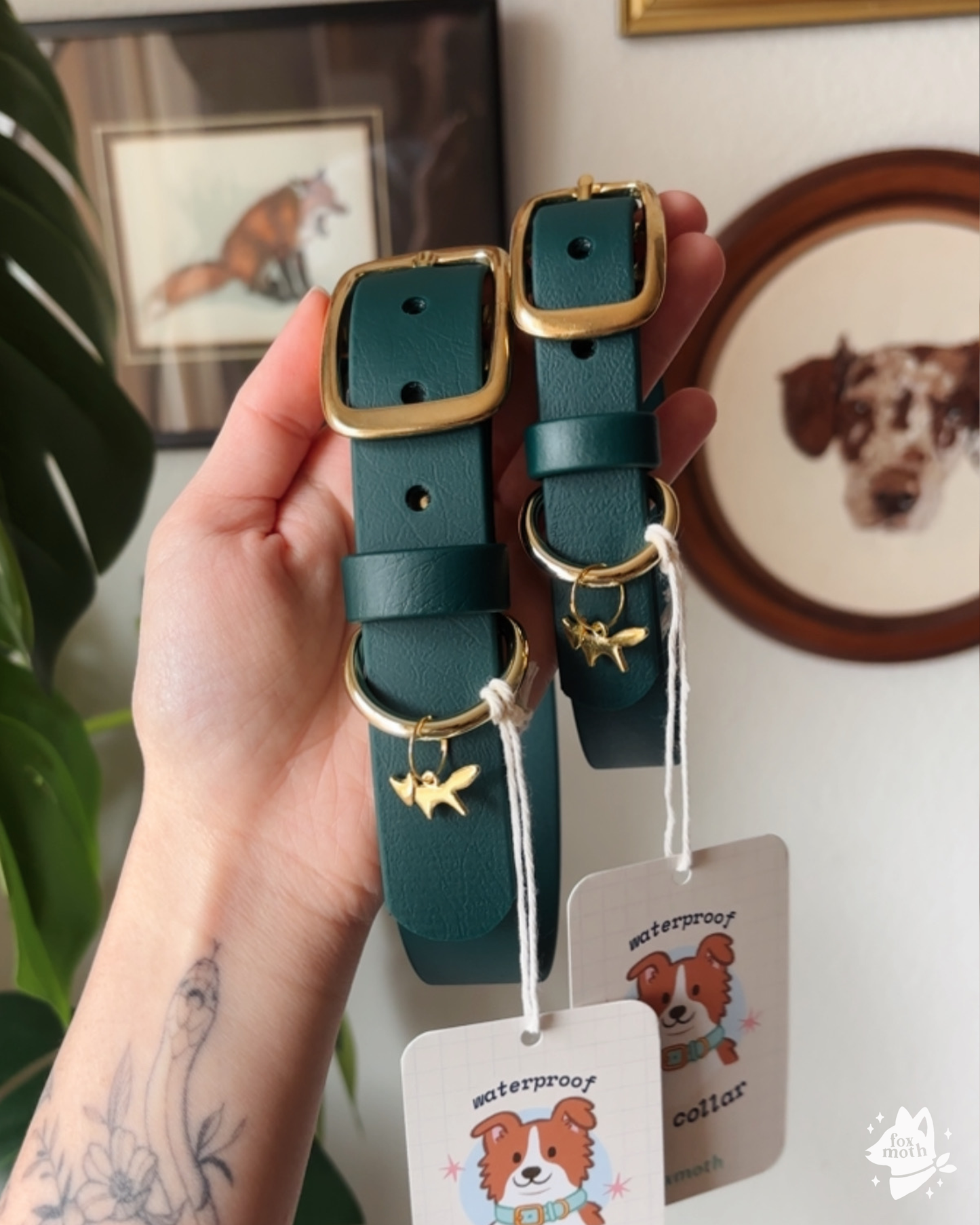 Evergreen Biothane Collar