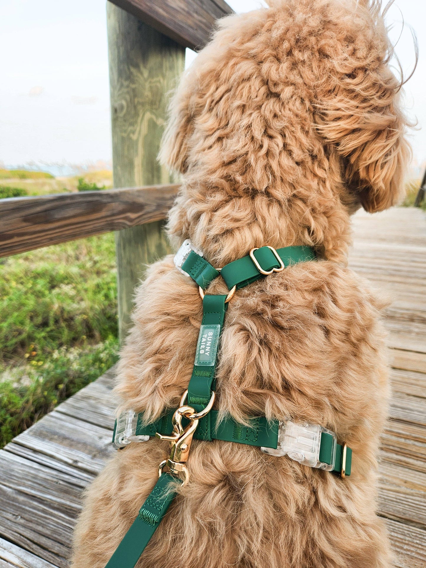 Meadow Green Cloud Lite Dog Harness