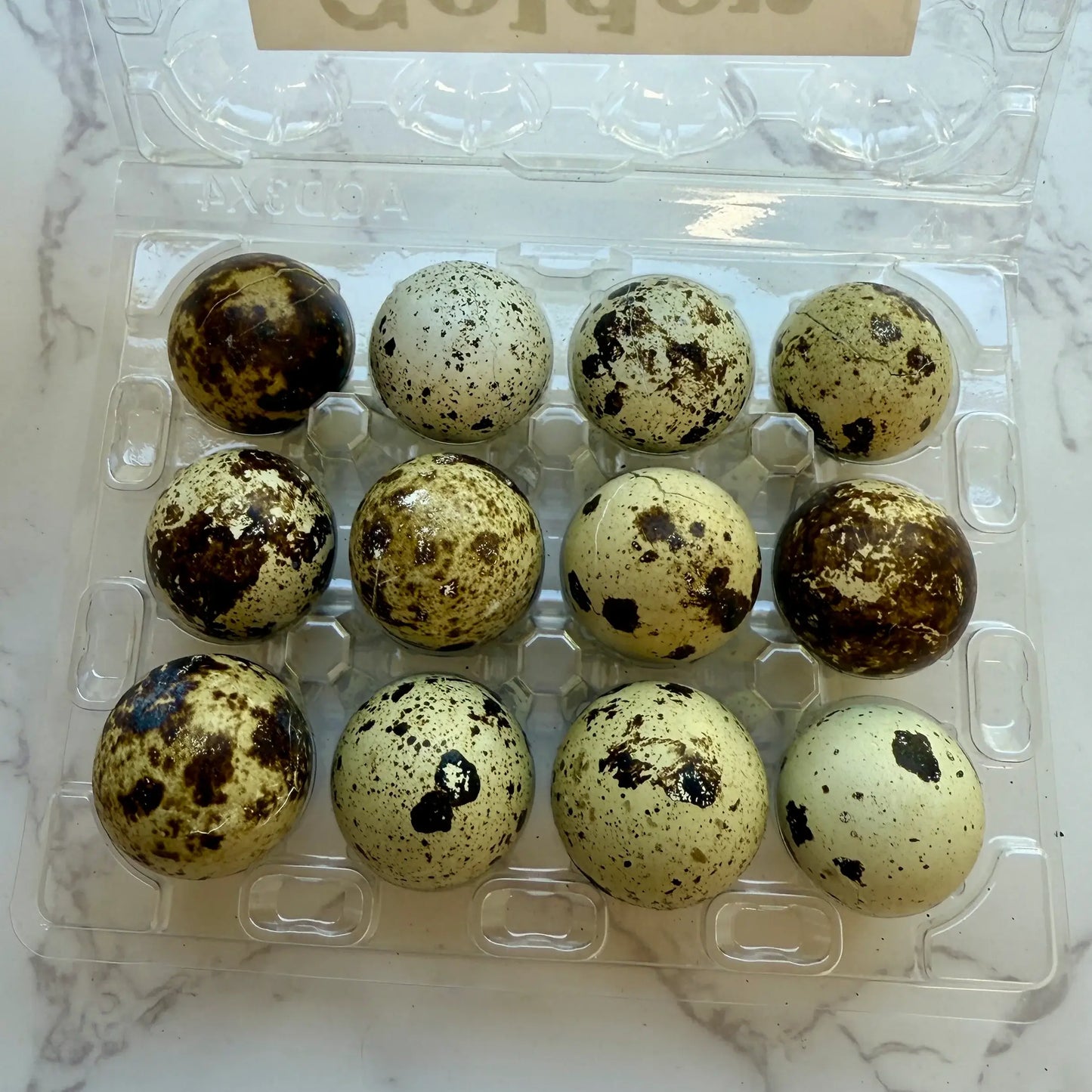 Dozen Quail Eggs - Freeze Dried