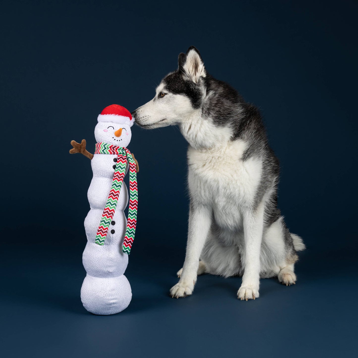 SNOWBALL PARTY LARGE DOG TOY