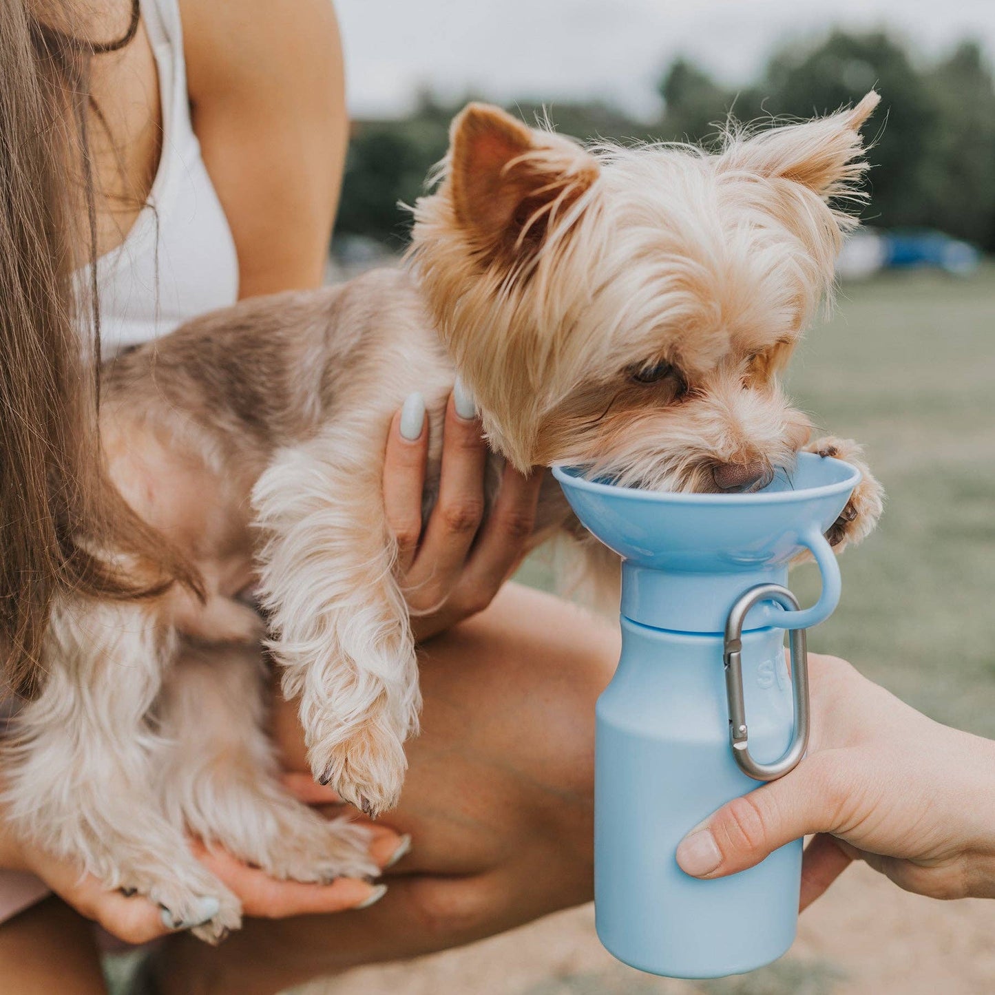 NEW 15oz Mini Dog Water Travel Bottle Mixed Case (12-Pack)