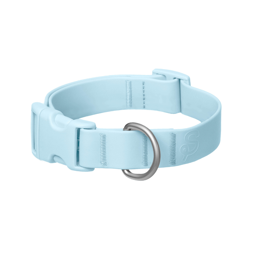 Waterproof & Adjustable Dog Collar (Mixed 5 Pack)