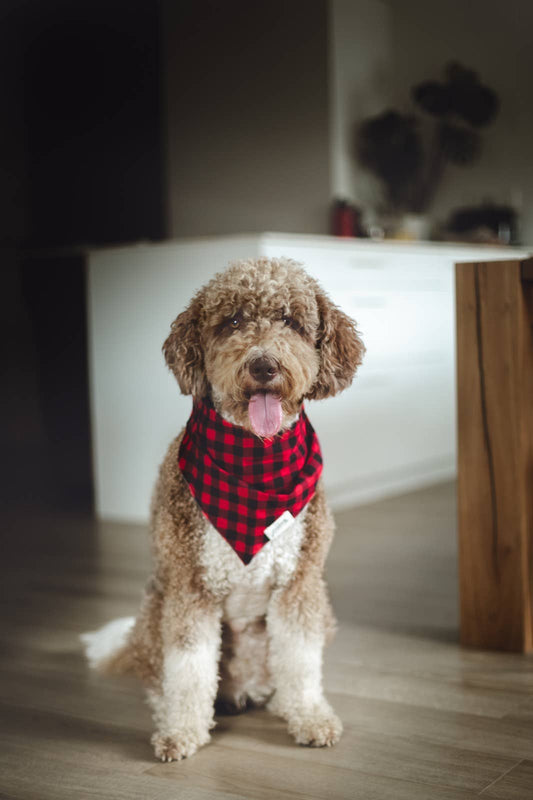 Red Plaid Bandana