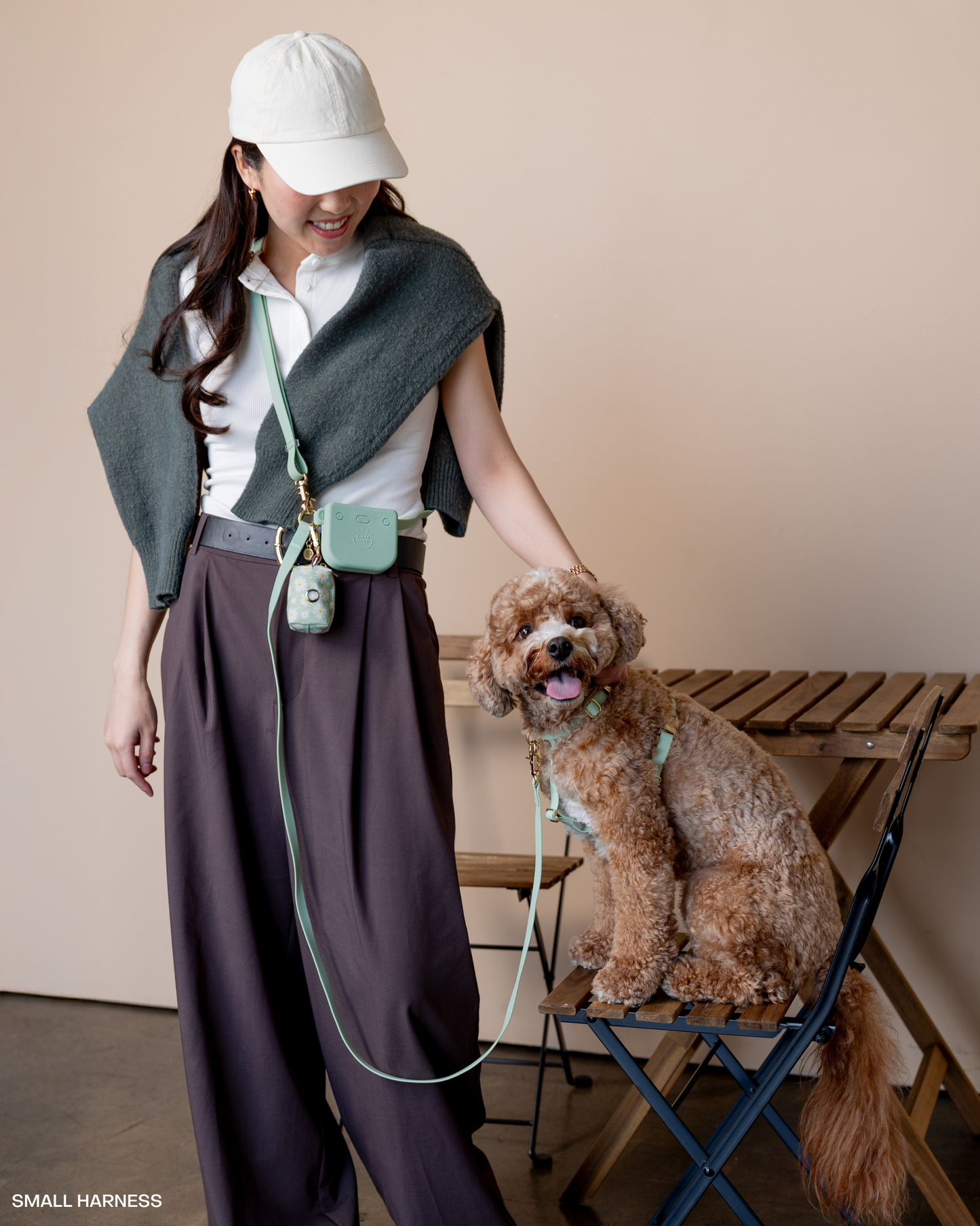 Pistachio Green Cloud Lite Dog Harness