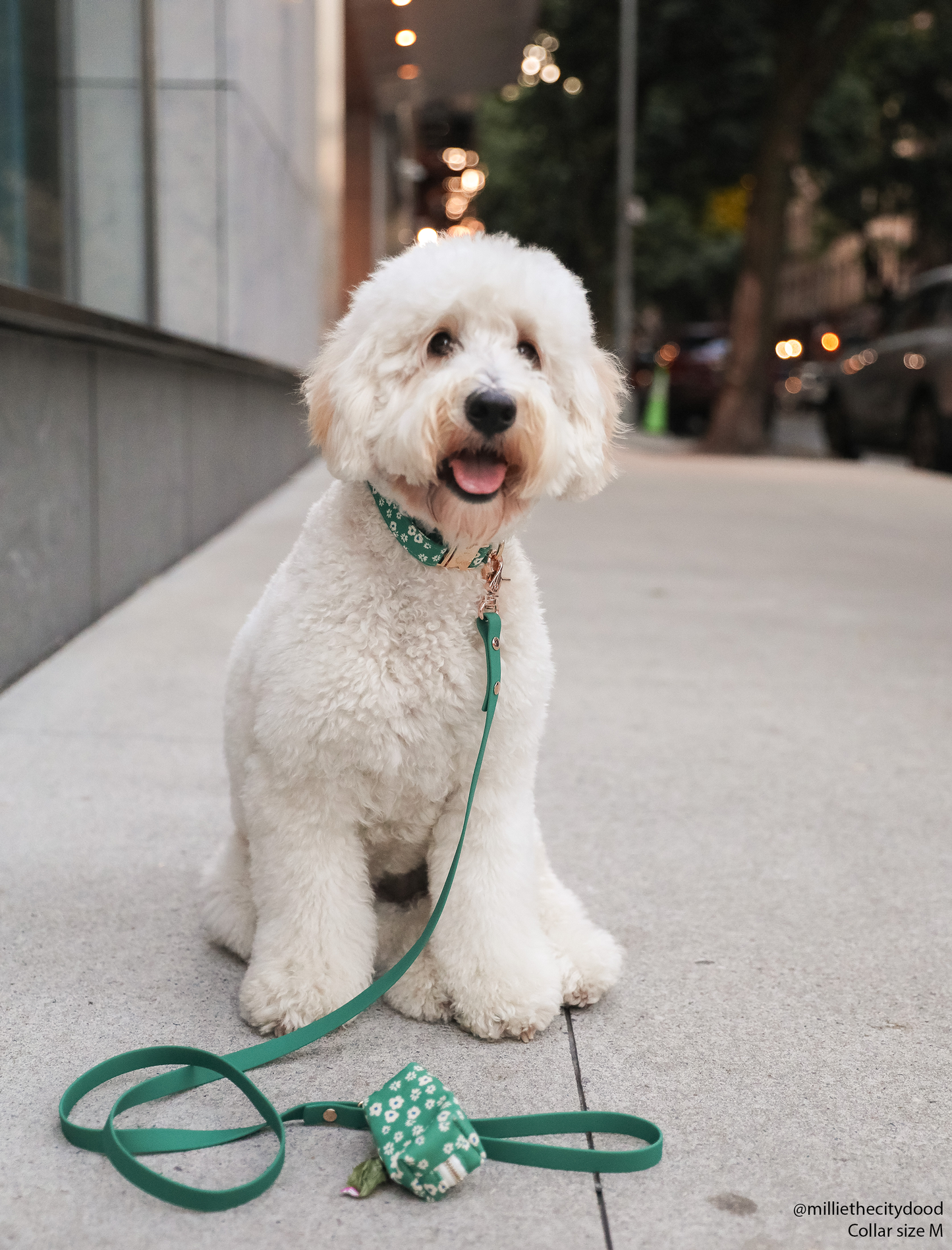 Green Waterproof Leash