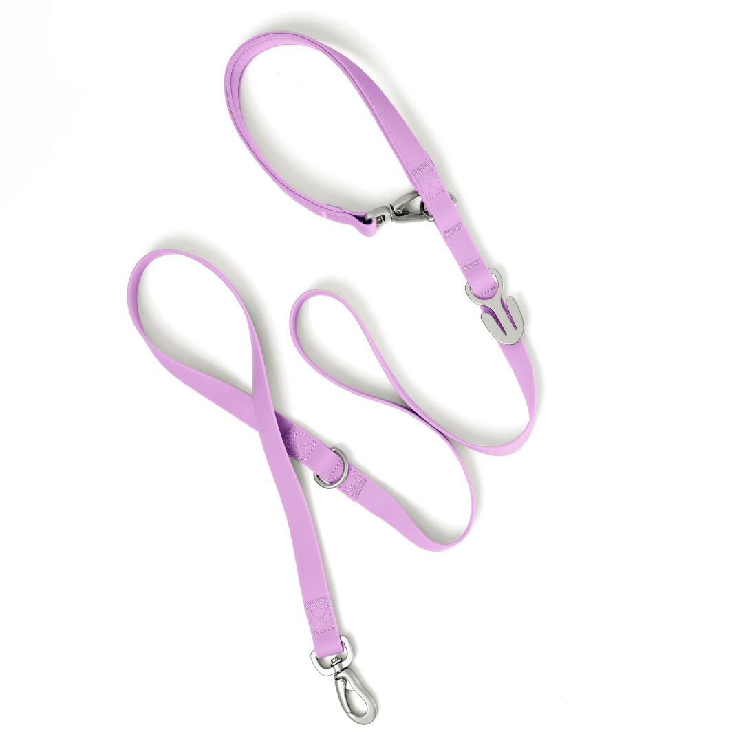 Premium Waterproof 5ft Dog Leash Padded (Mixed 5 Pack)