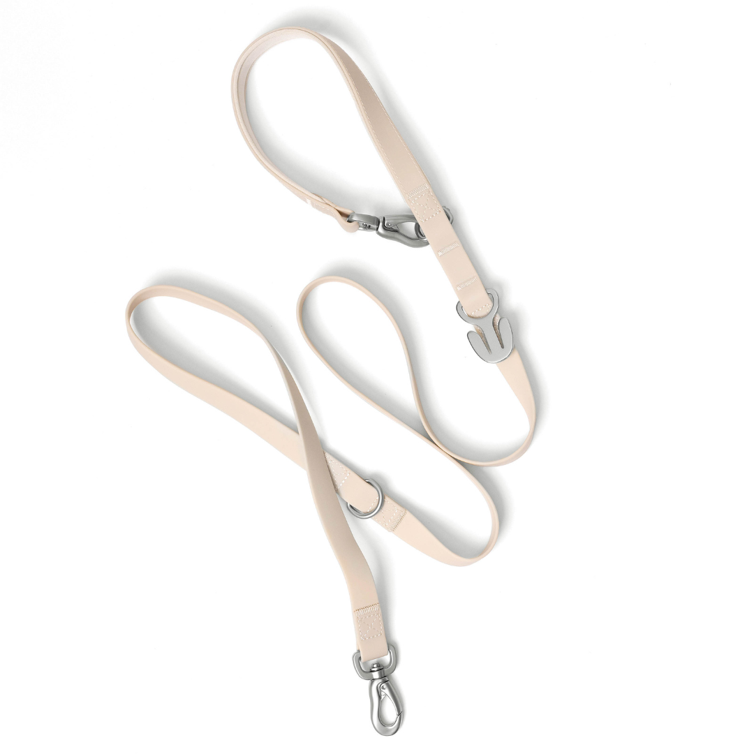 Premium Waterproof 5ft Dog Leash Padded (Mixed 5 Pack)