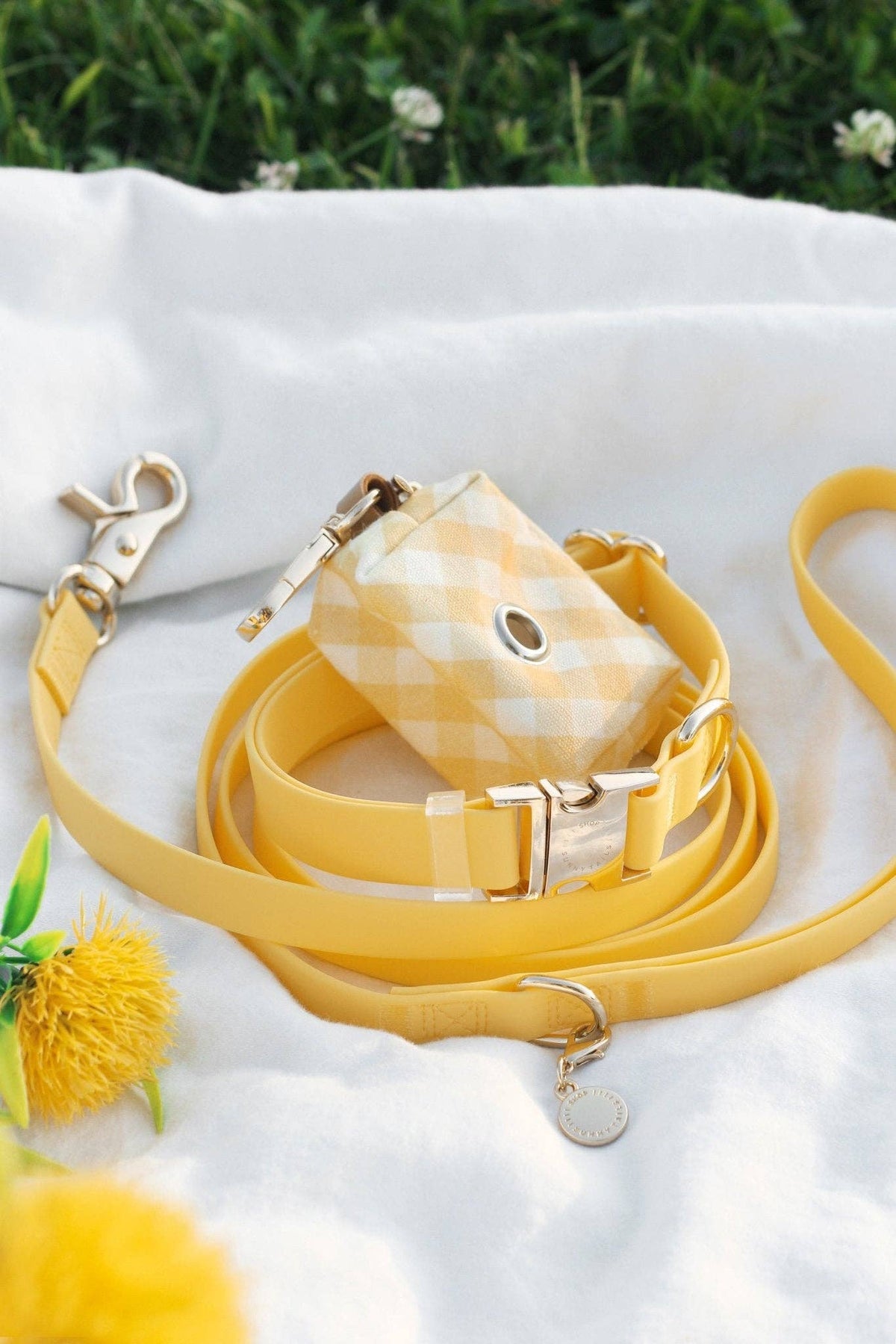 Dandelion Yellow Waterproof Cloud Dog Leash