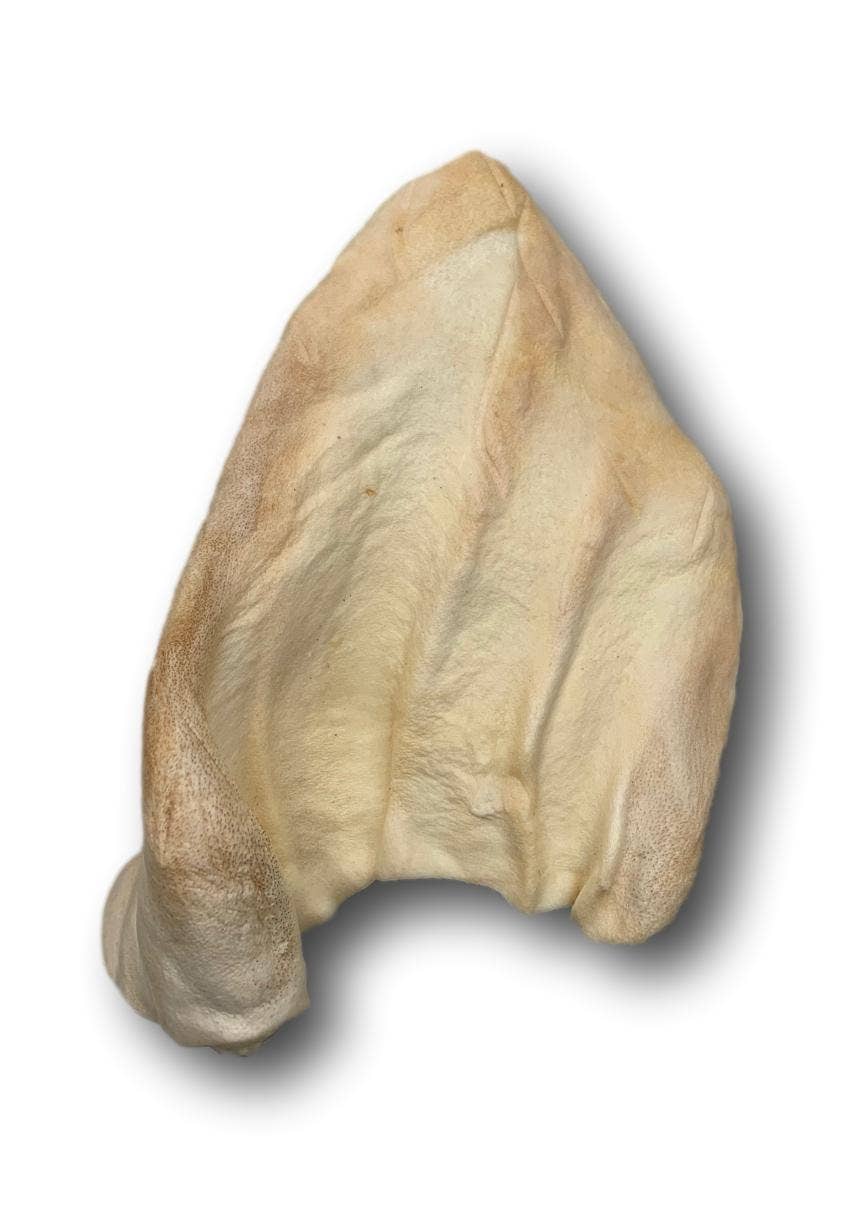 Cow Ears Regular (CE0101NR): Unit