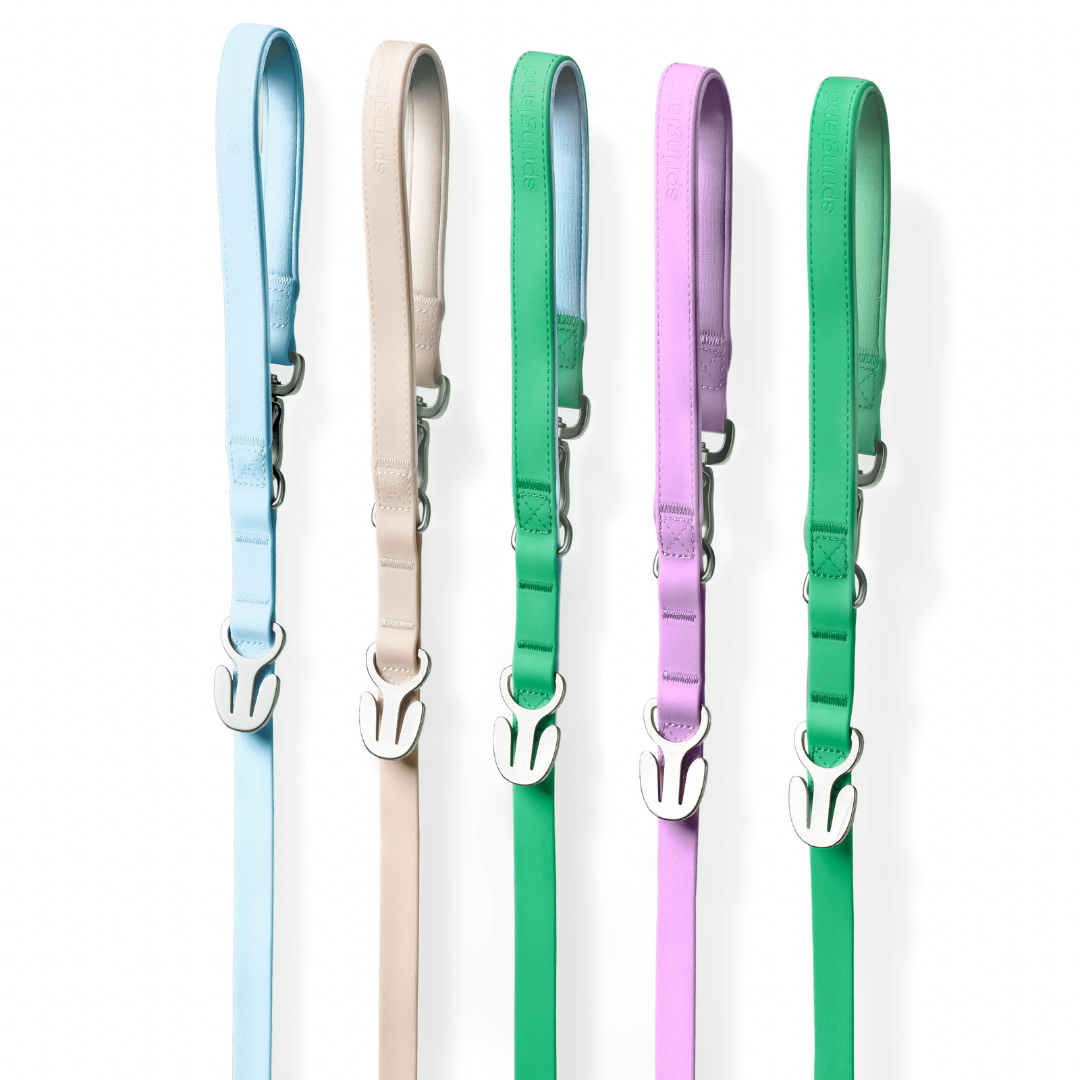 Premium Waterproof 5ft Dog Leash Padded (Mixed 5 Pack)