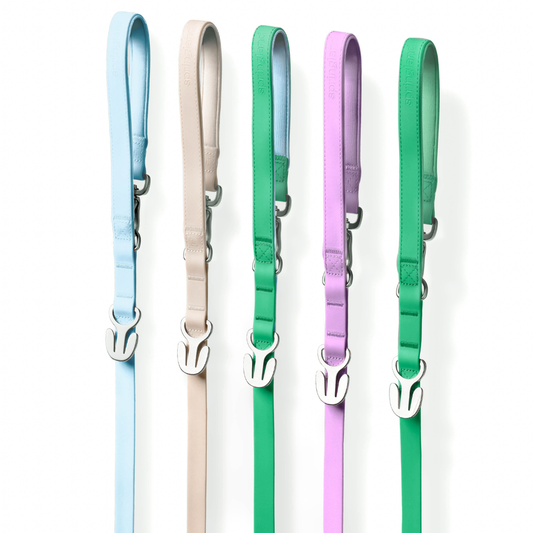 Premium Waterproof 5ft Dog Leash Padded (Mixed 5 Pack)