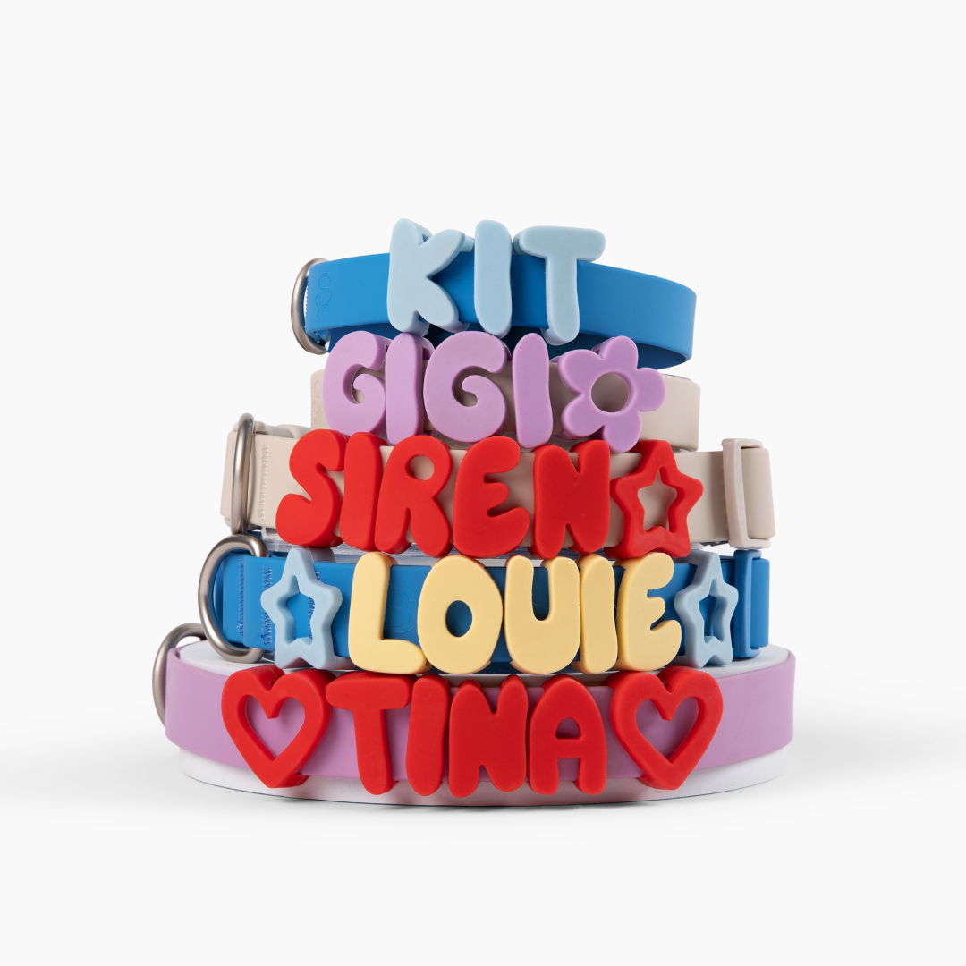 Mixed Dog Charms + Charm Bar