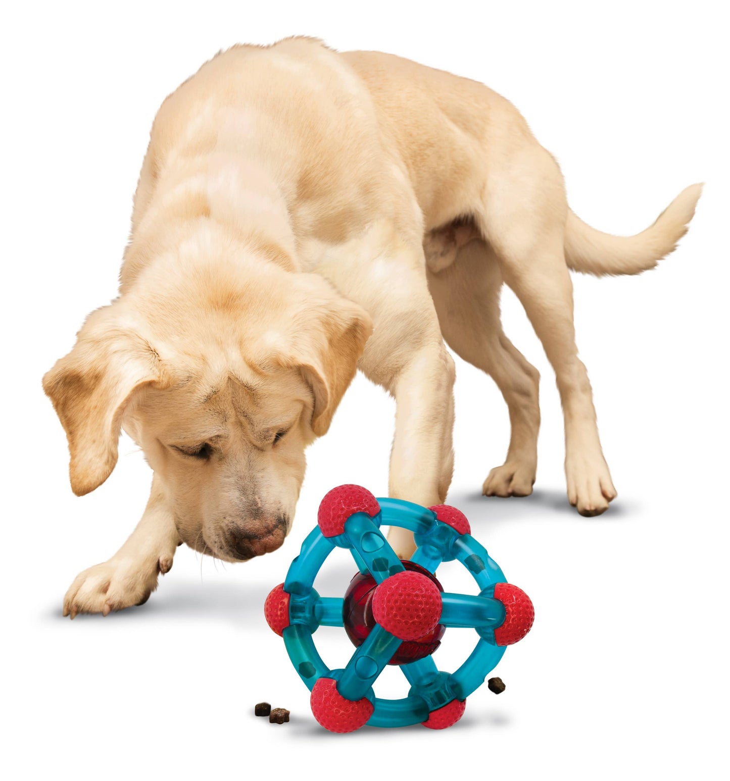 Tinker Dog Enrichment Toy M/L