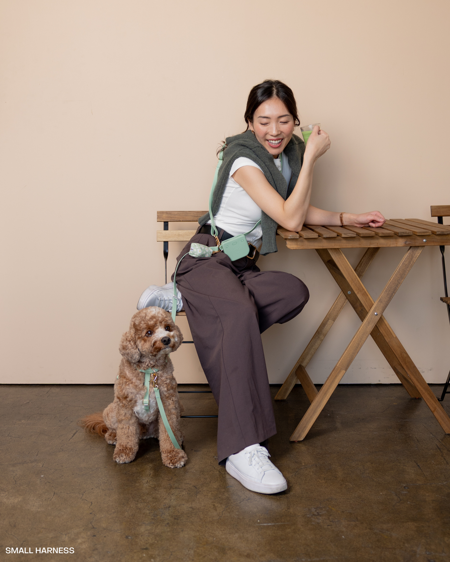Pistachio Green Cloud Lite Dog Harness