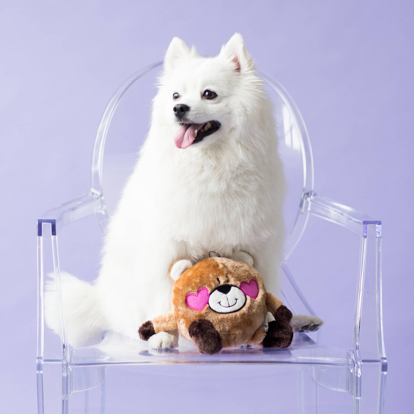 Valentine's Brainey - Bear in Love - Plush Dog Toy