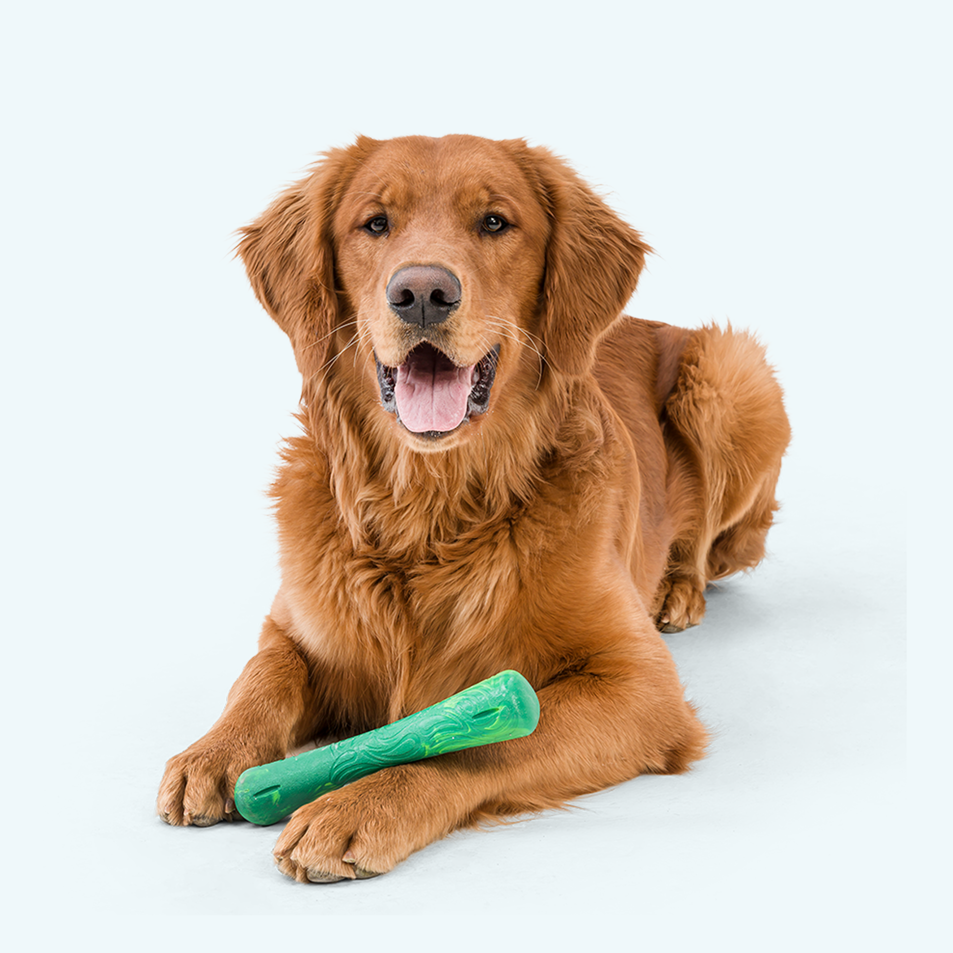 West Paw Drifty Dog Toy, Large