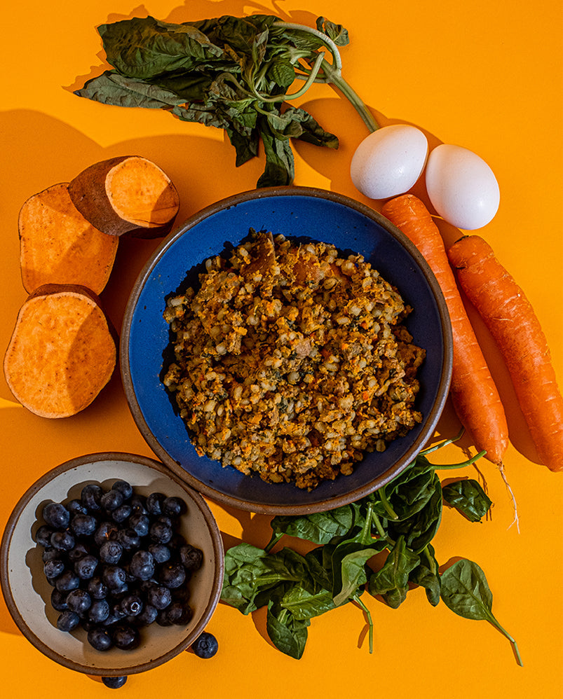 Barkful Hearty Beef fresh dog food served in a bowl