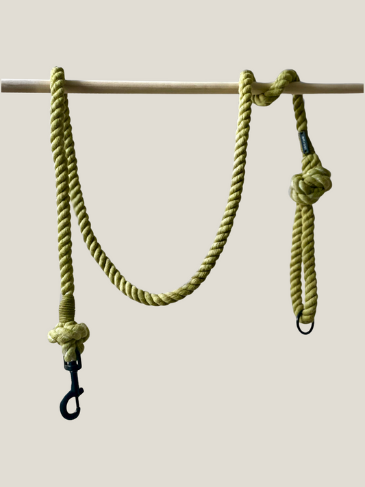 Sage Rope Leash