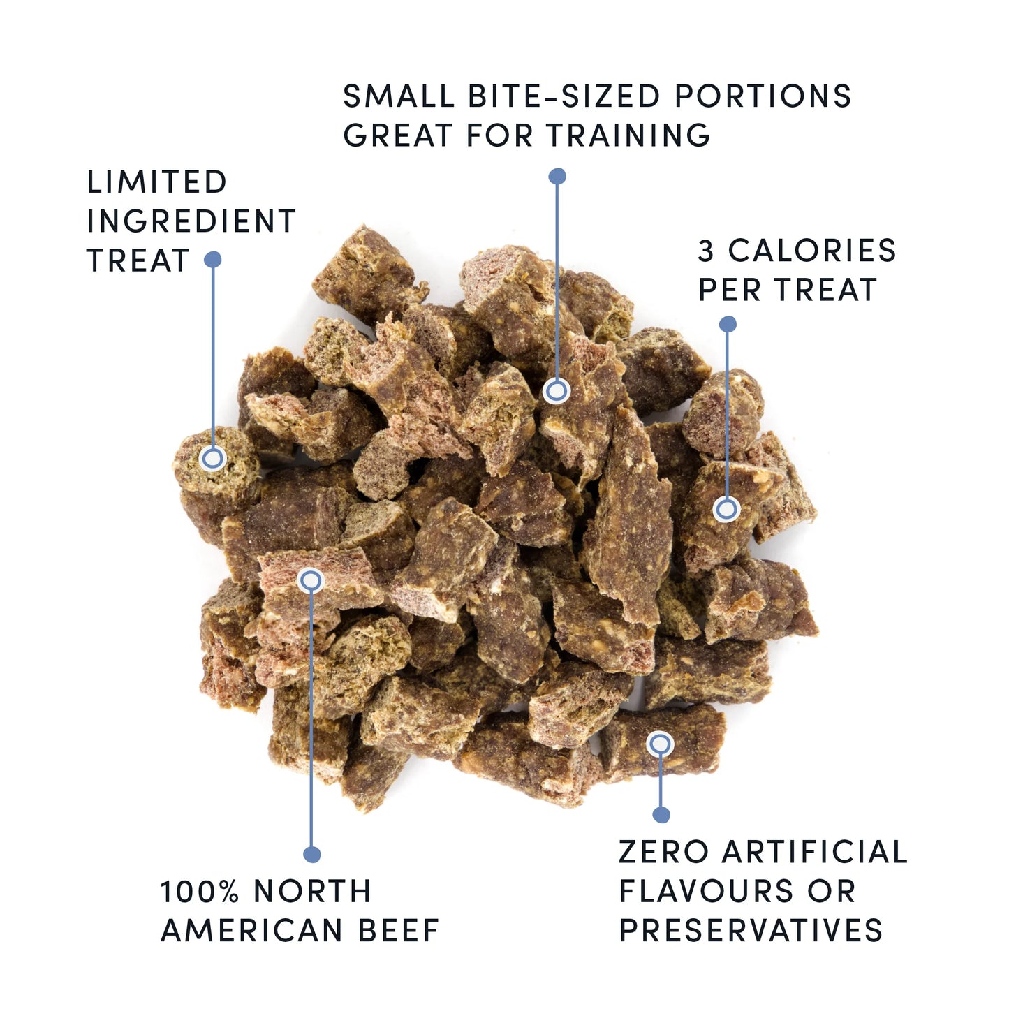 Semi Moist Beef Mini Trainers
