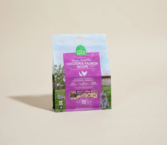 Cat FD Raw Chicken & Salmon Mosels 3.5 OZ