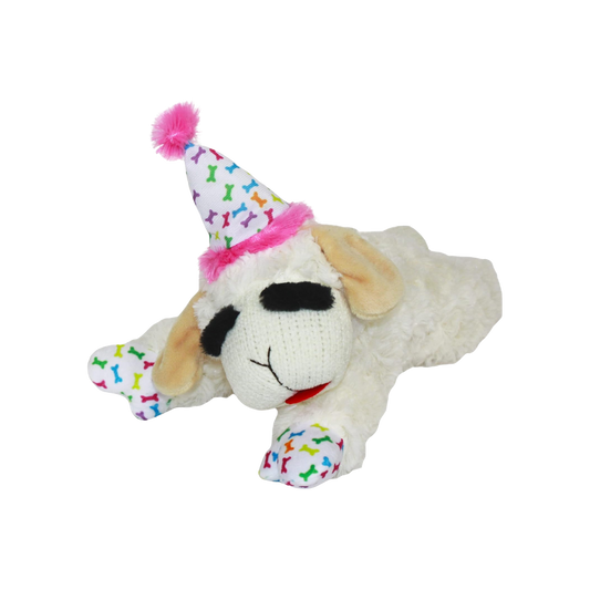 Birthday Lamb Chop
