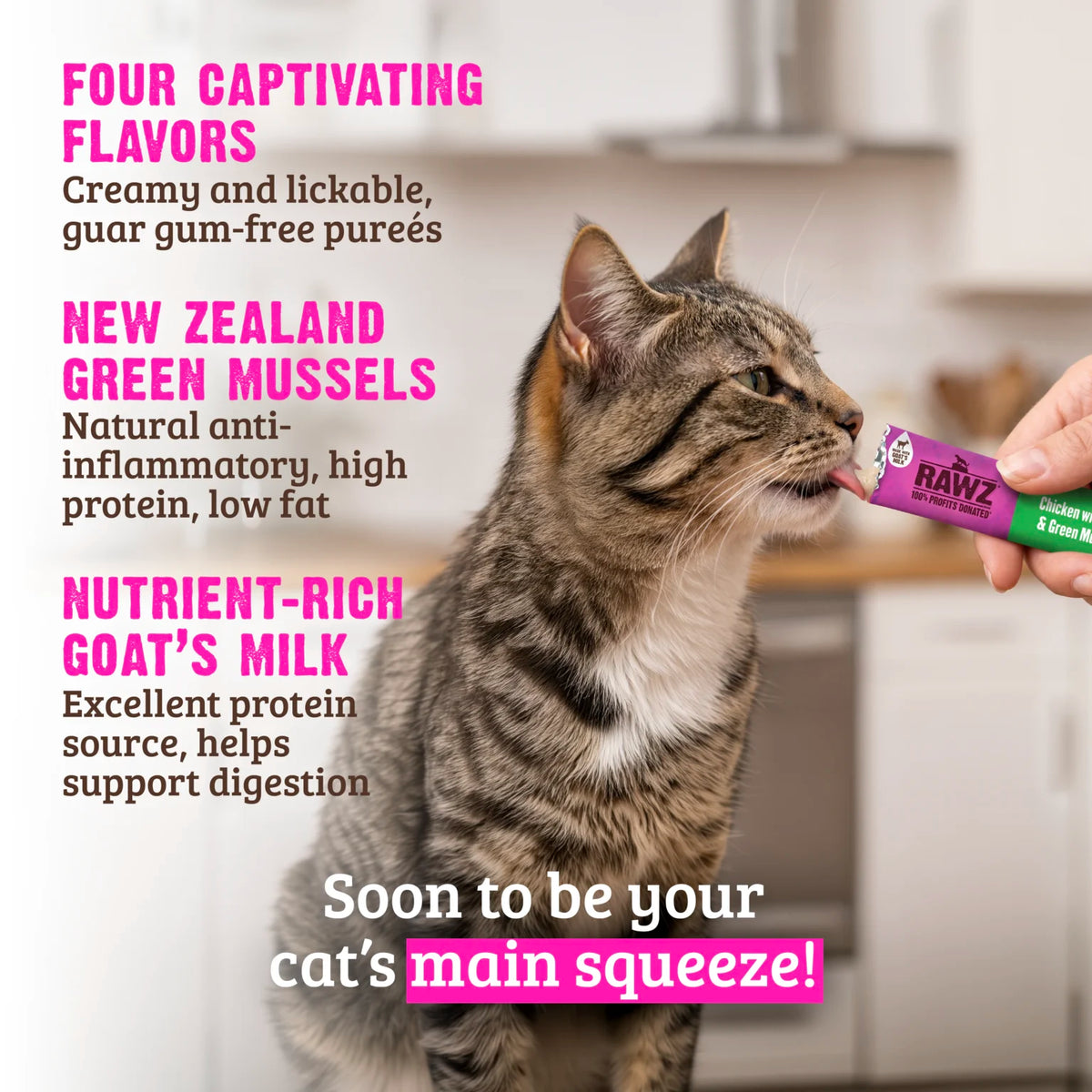 RAWZ Lickable Cat Treats Chicken - lifestyle