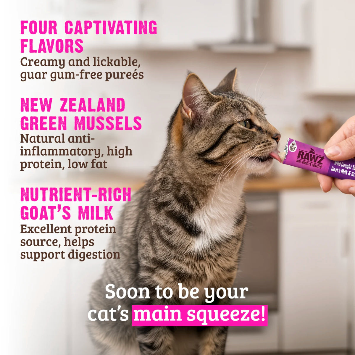 RAWZ Lickable Cat Treats Tuna & Scallop - lifestyle