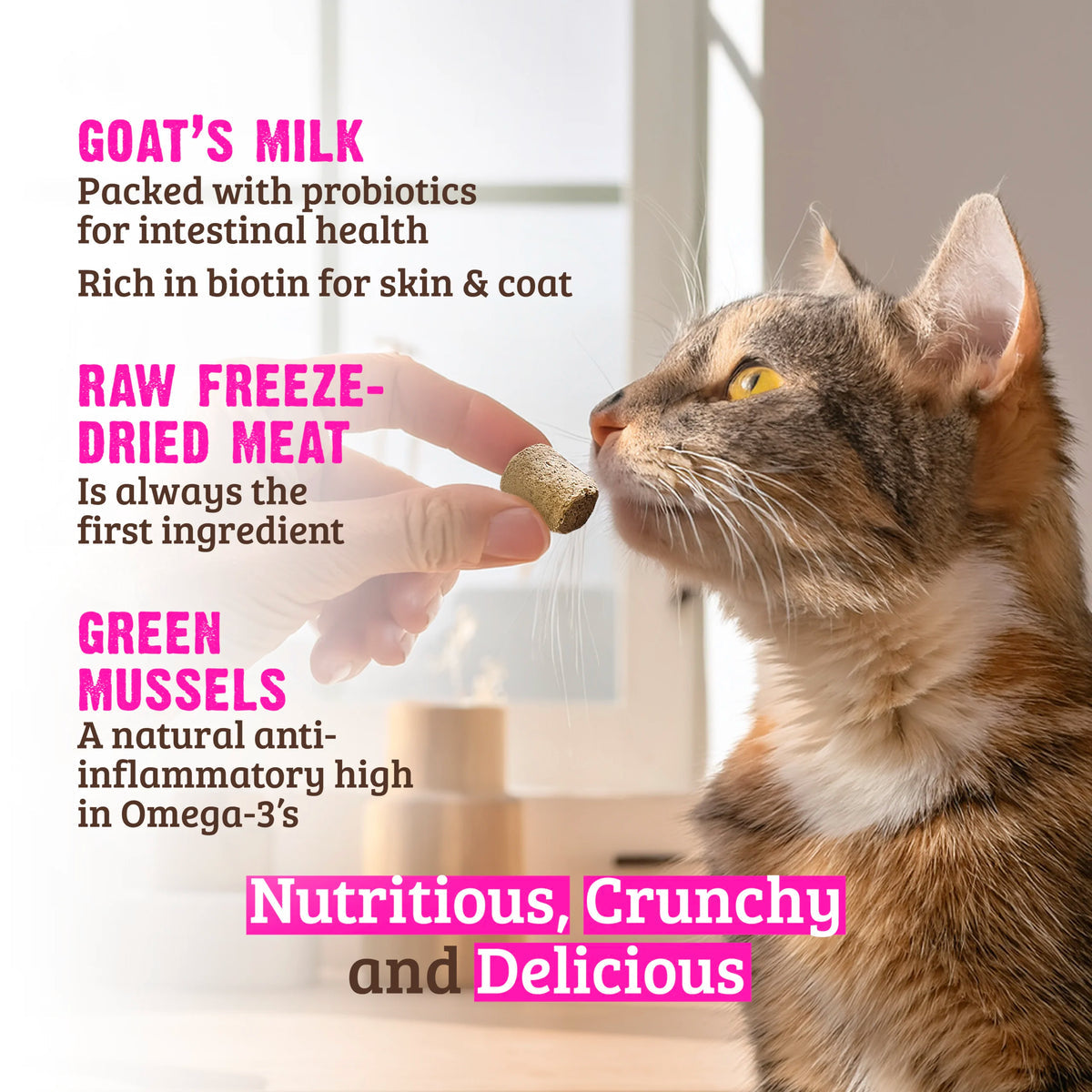 RAWZ Freeze-Dried Venison, Goat's Milk & Green Mussels Cat Treats - 1 oz