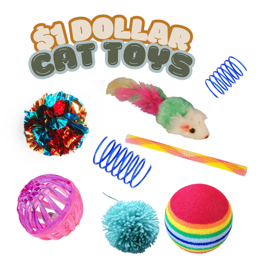 $1 Cat Toys