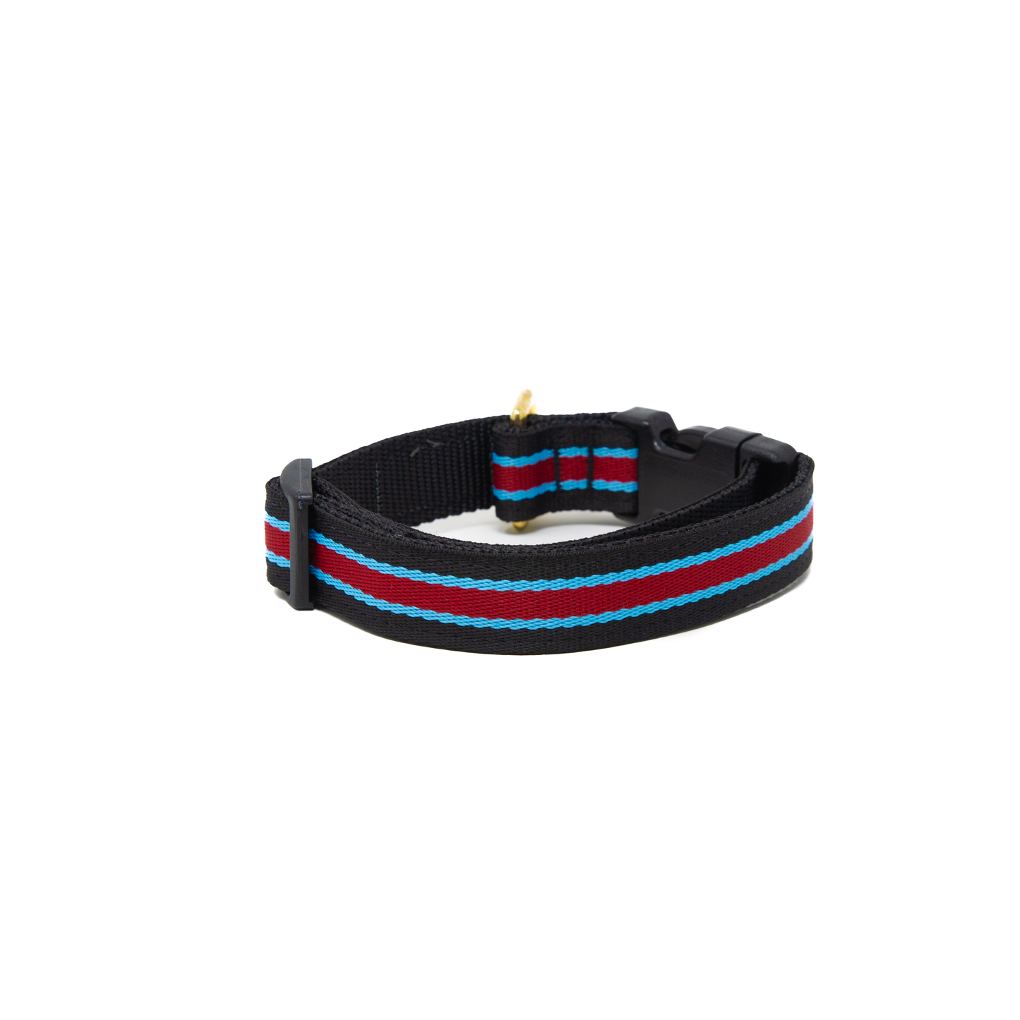 Rugby Dog Collar