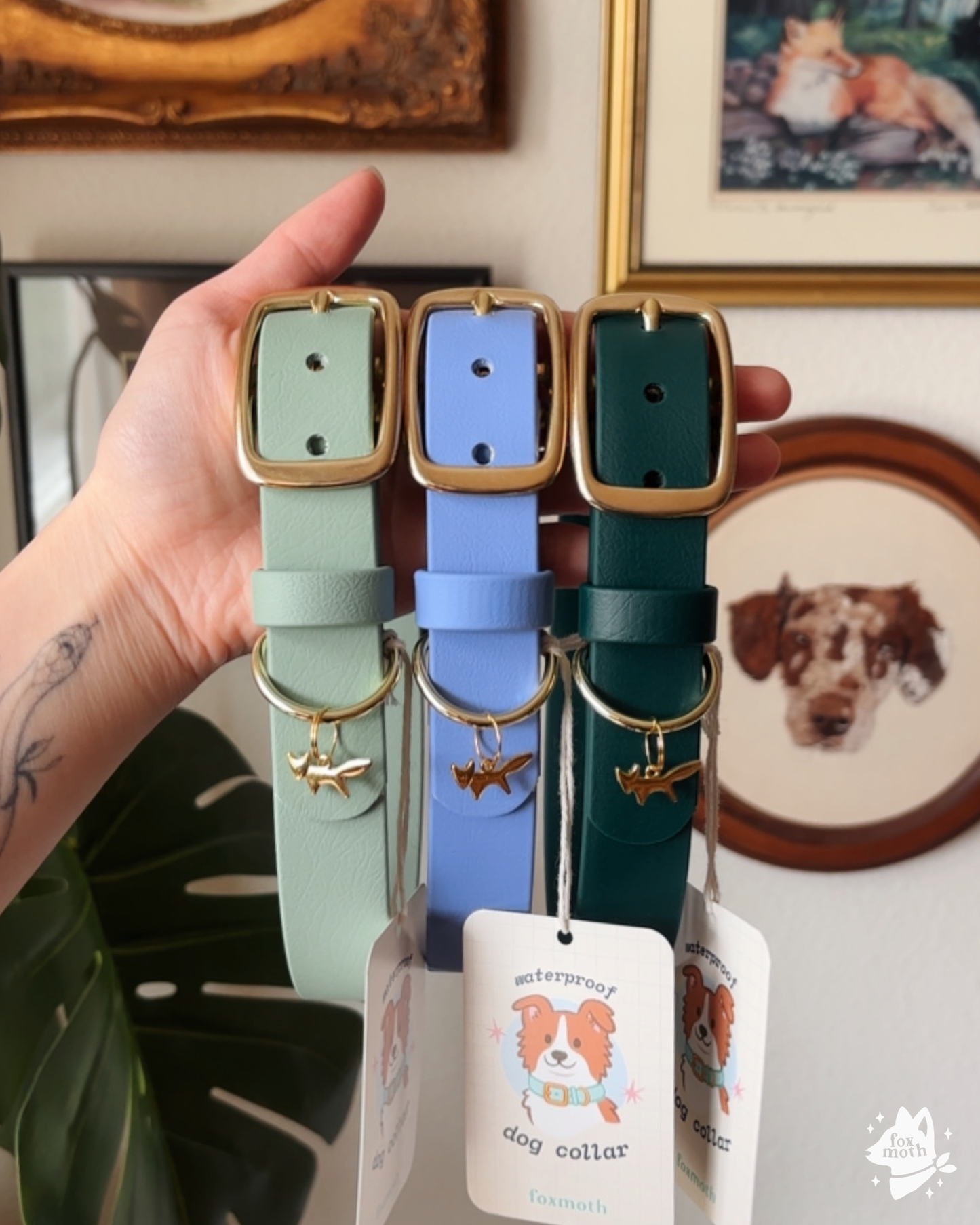 Iris Modern Biothane Collar