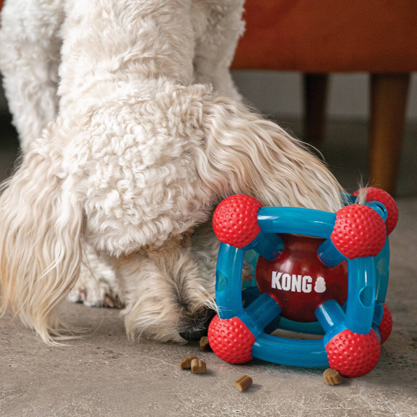 Tinker Dog Enrichment Toy M/L