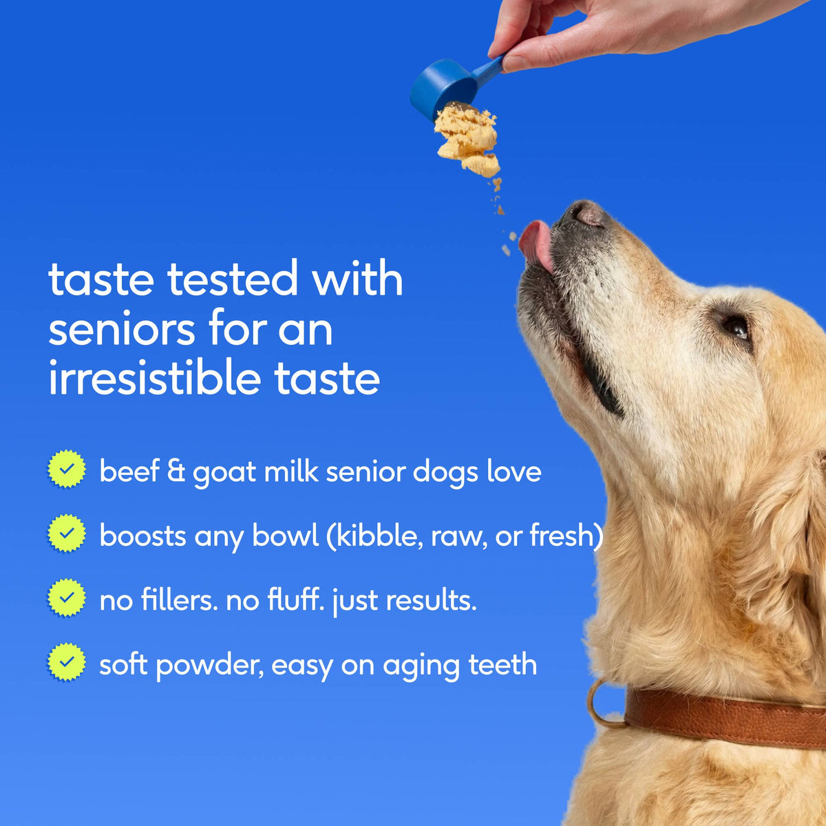 Senior Daily 12-in-1 Multivitamin Powder Supplement for Dogs